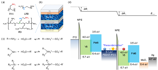 ‘화학적 잠금’으로 한계 넘었다… 인천대, 고효율 탠덤 유기태양전지 상용화 가능성 높여 대표이미지